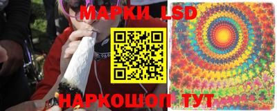 стаф Балахна