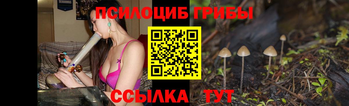Галлюциногенные грибы мухоморы  купить   Дубна  Вход с VPN 